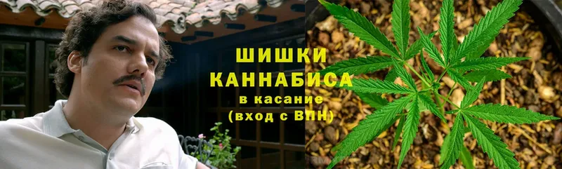 МАРИХУАНА сатива  купить  цена  Кингисепп 